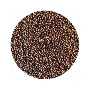 Frontpage: Wholegrain Red Quinoa