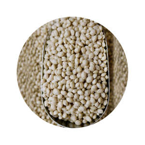 Frontpage: Crispy Quinoa Puffs