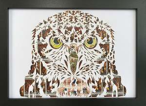 Art Gallery: Morepork
