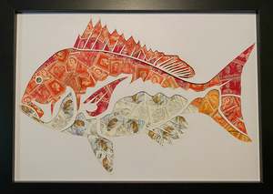 Art Gallery: Snapper