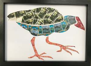 Art Gallery: Pukeko