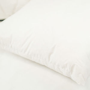 100% NZ Wool Pillow - kiwi-wool