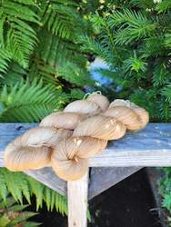 4ply High Twist Merino: Plain Jane