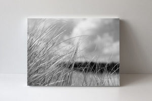 Products: Omaha Dunes