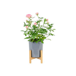 Modern Gray Plastic Plant Pot Stand with Wood Rack-S