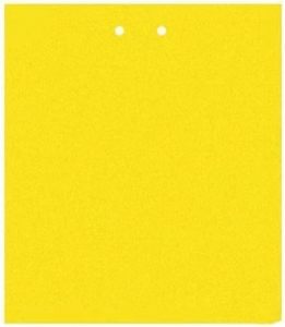 Plant Protection: Yellow Sticky Fly Traps (20 Pieces) for Pest Control