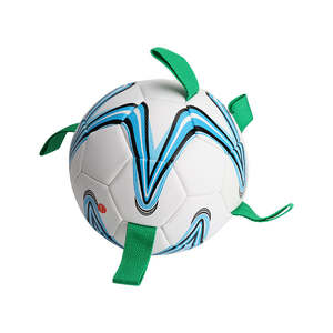 Dog Accessories: Dog Toys Football with Grab Tabs