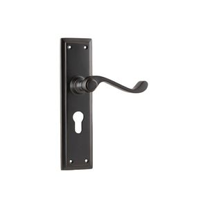 Door: Milton Lever Euro 200x50mm Tr