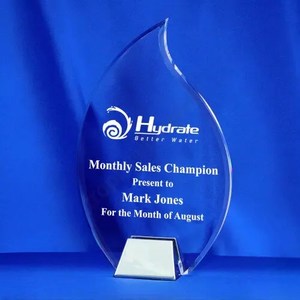 Products: Flame Acrylic Award with Nickel Base – Knox Engravers