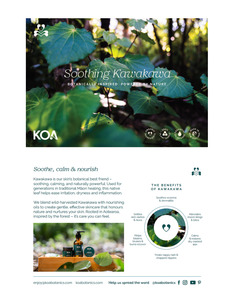 All Visible: Kawakawa Postcards - pack of 20