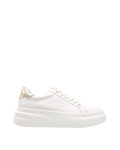 Shoes: Baily-T White/Rose Gold