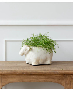 Home Decor: French Country - Sheep Flower Pot