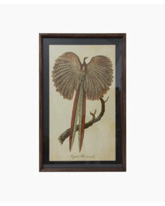 French Country - Pheasant Wall Art