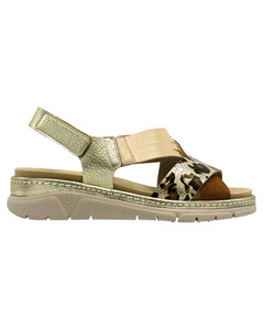 Shoes: Vita Pacific - Entomb (Gold Multi)