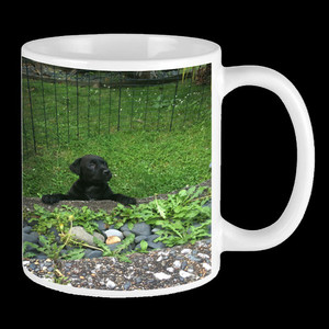Products: Photo Mug Vision Photos