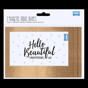 Products: Shot2Go Copper Magnetic Fridge Frames (6x4) - 3 Pk Vision Photos
