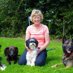 Products: About us Kool K9 Dog Training