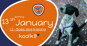 Products: Level 1 Class - Kool K9