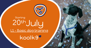 Products: Level 1 Class - Kool K9