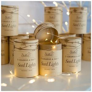 Lighting: Charge & Go Seed Lights – Silver (3m)