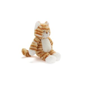 Ginger The Kitten