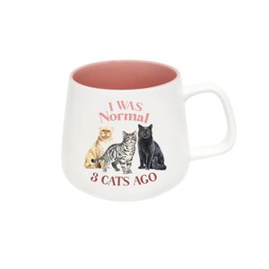 I Was Normal 3 Cats Ago Mug