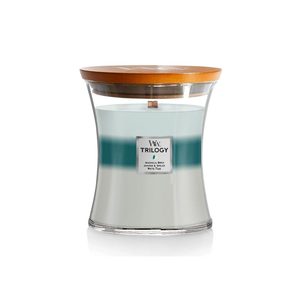 Candles Bogo: Medium Trilogy Soy Candle - Icy Woodland