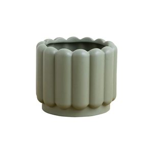 Potted: Vienna Planter Small - Eucalyptus