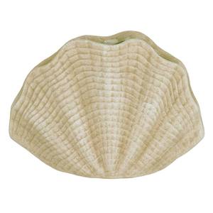 Shells: Seashell Vase