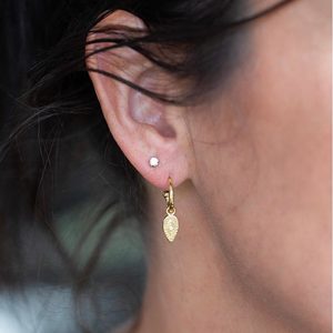 Gold Earrings Nz: Gold Gracie Petite Hoop Earrings