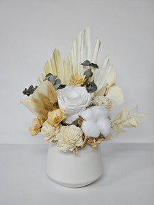 Mini Dried - Mā/White Kora Floral Boutique