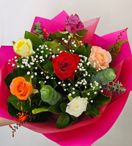6 Coloured Roses Kora Floral Boutique
