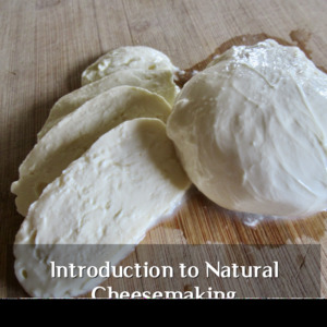 Introduction to Natural Cheese Making Workshop