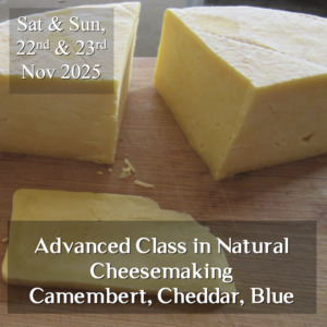 Workshops & Farm Tours: Advanced Class in Natural Cheese Making