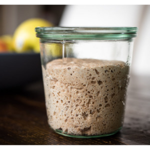 Sourdough Starter for Baking Bread