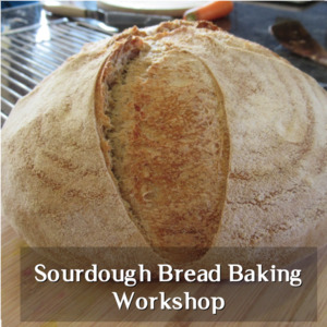 Sourdough Bread Baking Workshop