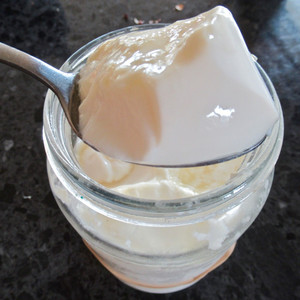 Caspian Sea Yoghurt Starter Culture Shipment 4th May