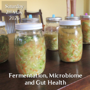 Fermentation, Microbiome and Gut Health Workshop 2nd May 2026