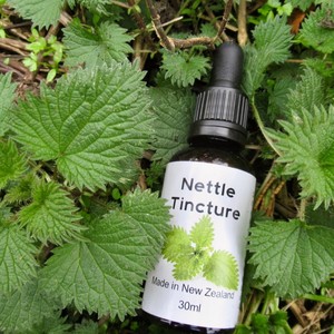 Nettle Tincture