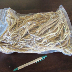 Culinary: Fresh Horseradish Root 1kg unprocessed