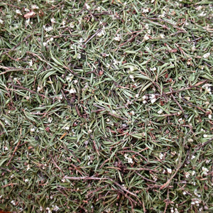 Kanuka dried leaves and flowers