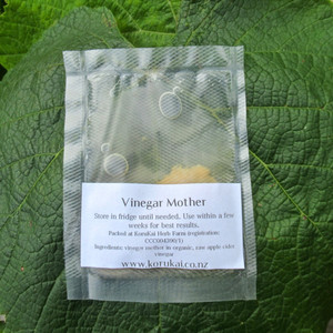 Apple Cider Vinegar Mother