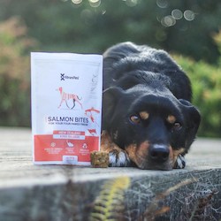 Dog Salmon Bites