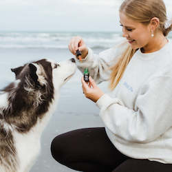 Dog NZ Green Lipped Mussel Oil - For your dogs joints to help them run around