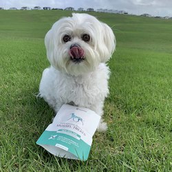 Best Sellers: Dog Omega-3 Mussel Treats For healthy joints and wagging tails