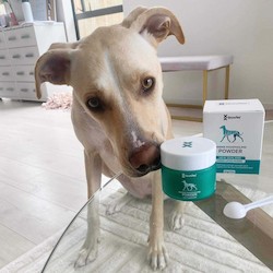 Best Sellers: Dog Green Lipped Mussel Powder - For Mobility and flexibility of your dog's joints (Green Lipped Mussel Powder)