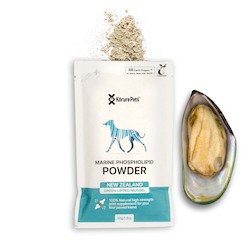 Dog: Special old price* Dog Refill  - Green Lipped Mussel Powder