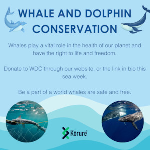 Products: Donation for Whale and Dolphin Conservation
