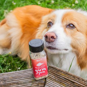 Products: Dog yum yum NZ King Salmon