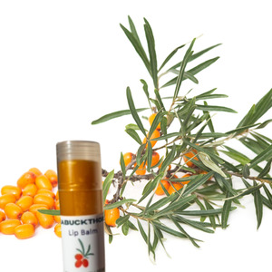 Sea Buckthorn Lip Balm Sanflora Wellbeing